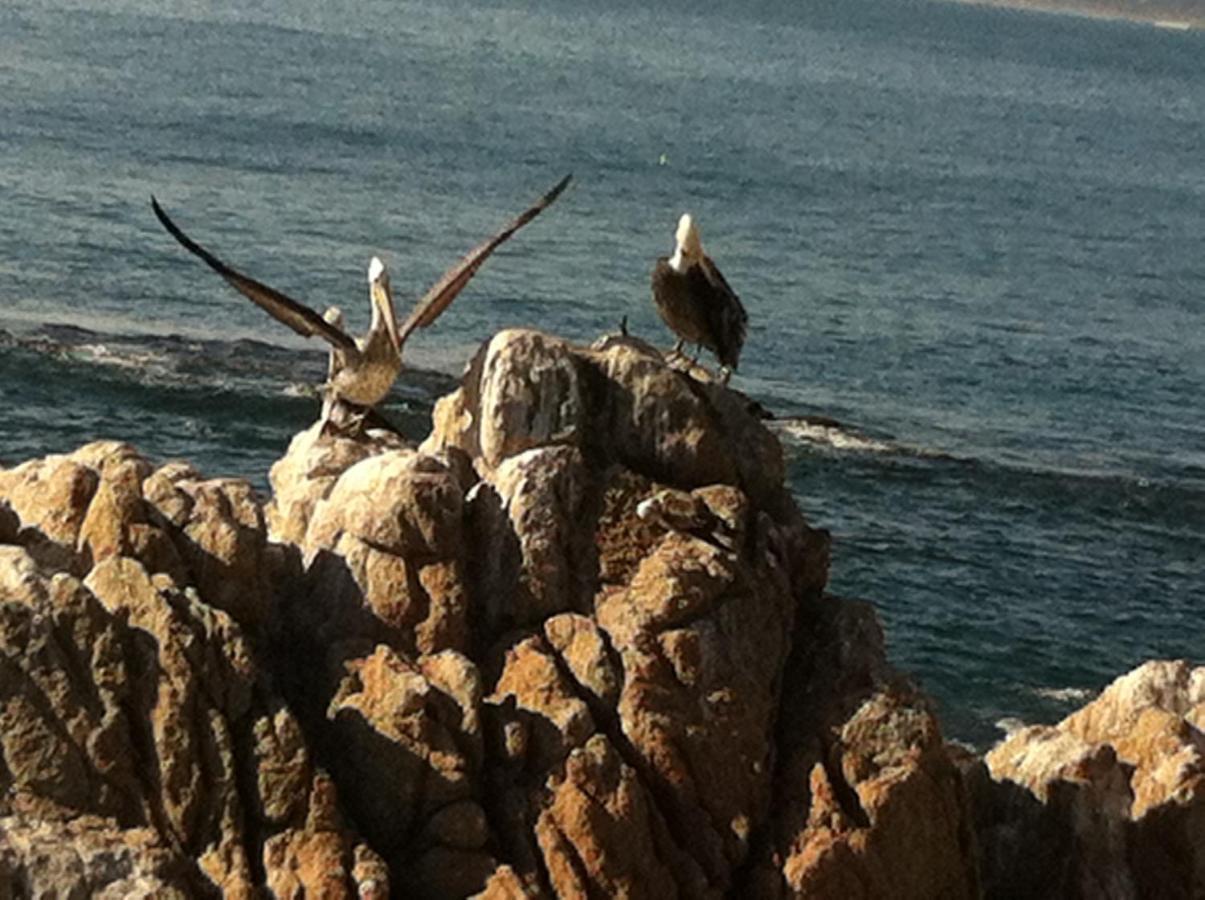 B&B Patrimonial Little Castle Vina del Mar Ngoại thất bức ảnh